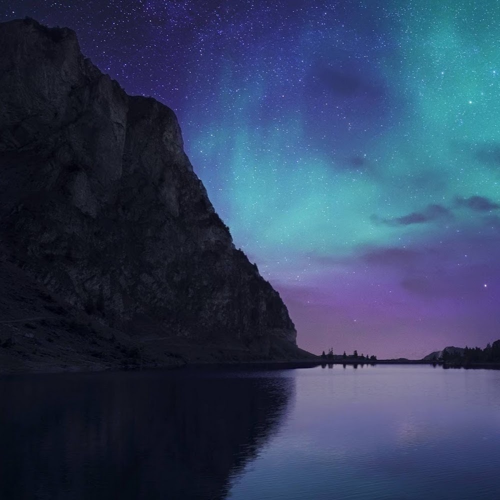 Meet your Posher, Bella